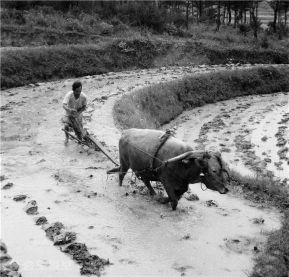 ▲ 나주복암리고분전시관에서 오는 22일부터 다음달 21일까지 특별사진전 ‘1974 백동마을 사계’가 개최된다./나주시 제공