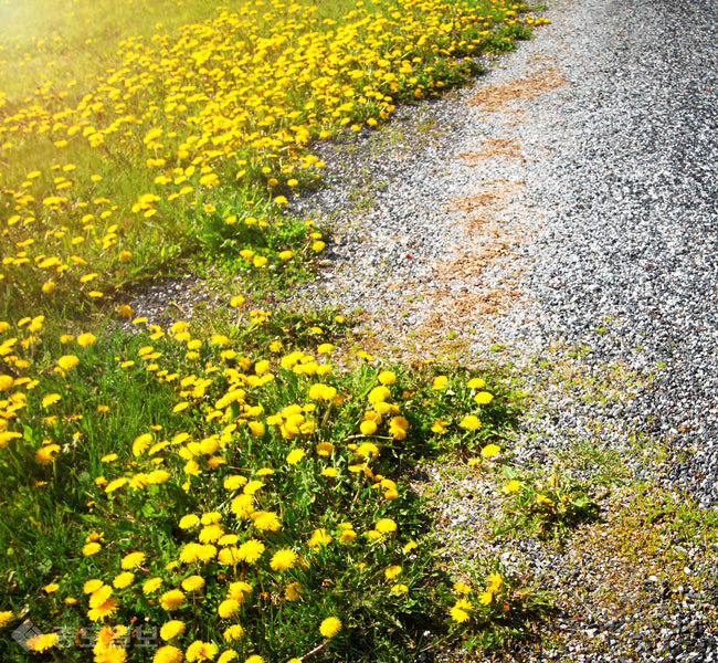 ▲ 사진=게티이미지뱅크