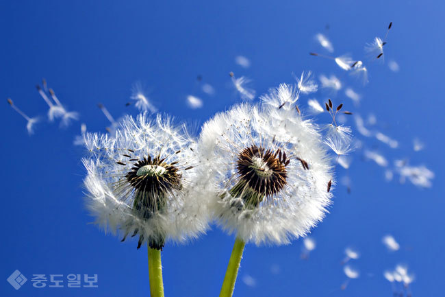 ▲ 사진=게티이미지뱅크