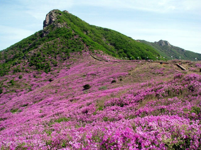 ▲출처=다음 블로그 '걸어서 세상 끝까지'