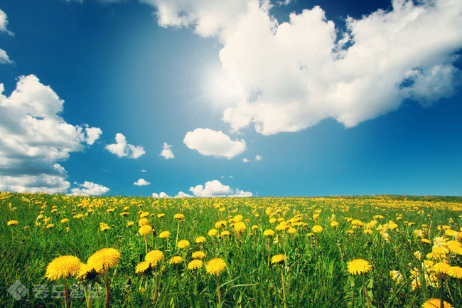 ▲ 사진=게티이미지뱅크