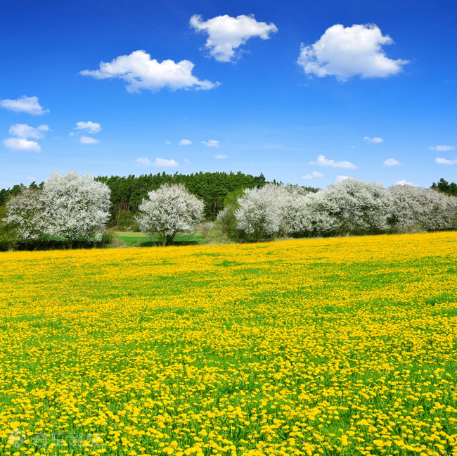 ▲ 사진=게티이미지뱅크