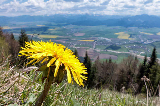 ▲ 사진=게티이미지뱅크