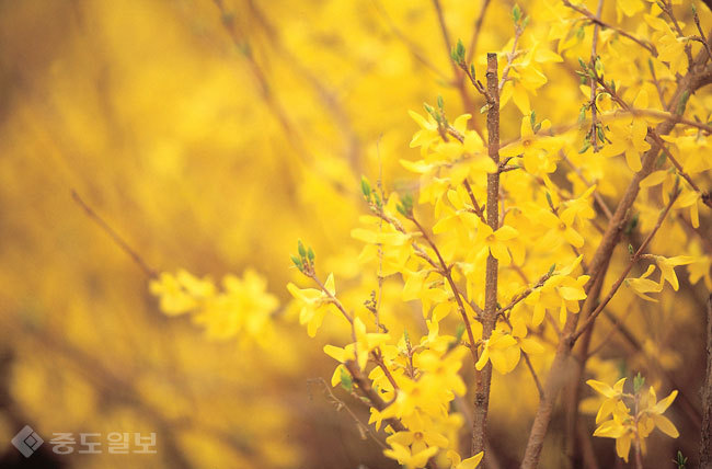 ▲ 사진=게티이미지뱅크 ▲ 사진=게티이미지뱅크