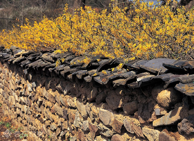 ▲ 사진=게티이미지뱅크