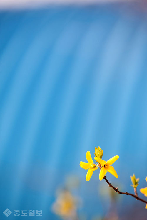 ▲ 사진=게티이미지뱅크