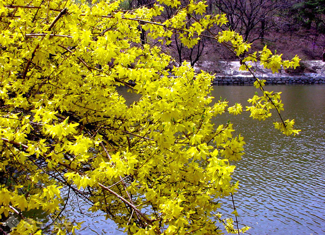 ▲ 사진=게티이미지뱅크