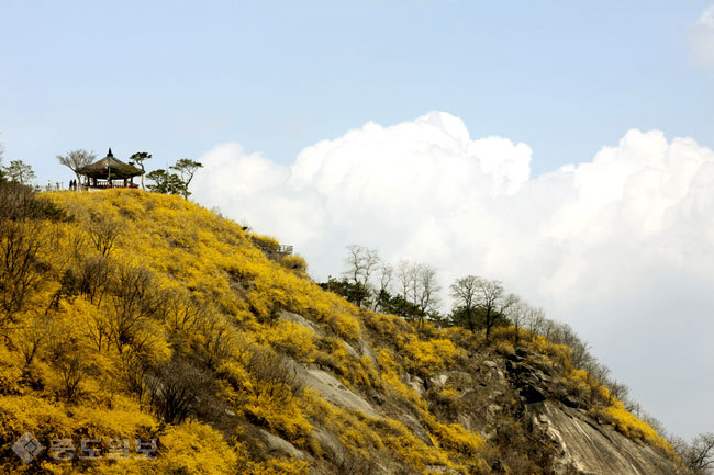 ▲ 사진=게티이미지뱅크