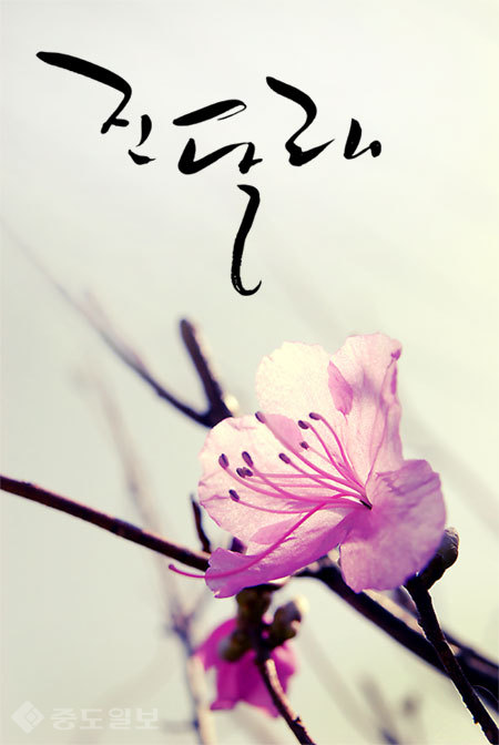 ▲ 사진=게티이미지뱅크 ▲ 사진=게티이미지뱅크