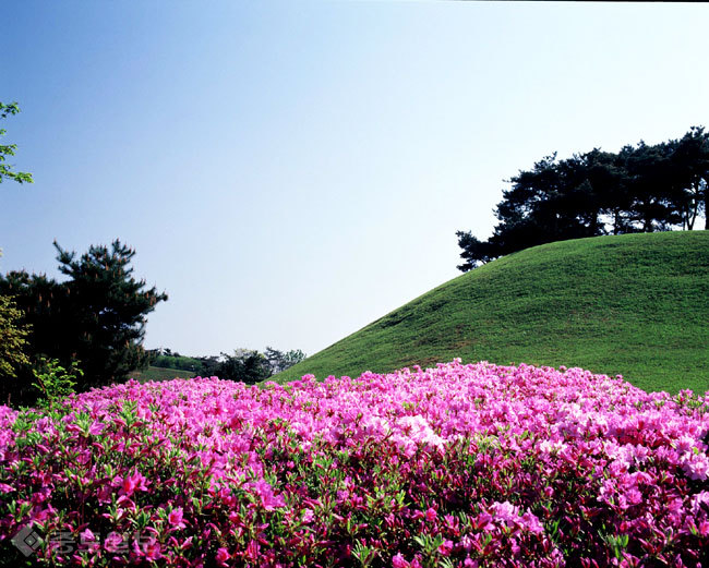 ▲ 사진=게티이미지뱅크