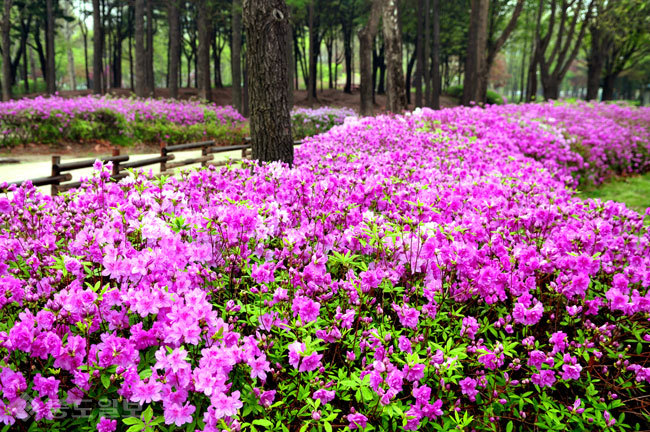 ▲ 사진=게티이미지뱅크