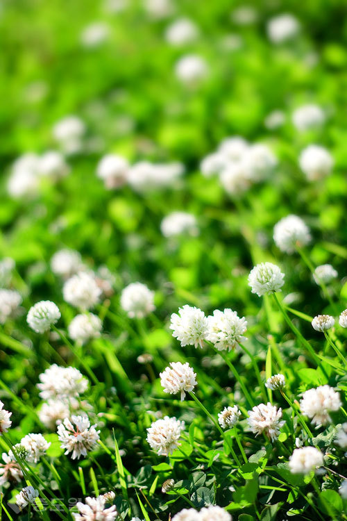 ▲ 사진=게티이미지뱅크 ▲ 사진=게티이미지뱅크