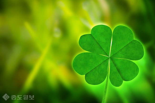 ▲ 사진=게티이미지뱅크