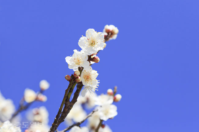 ▲ 사진=게티이미지뱅크