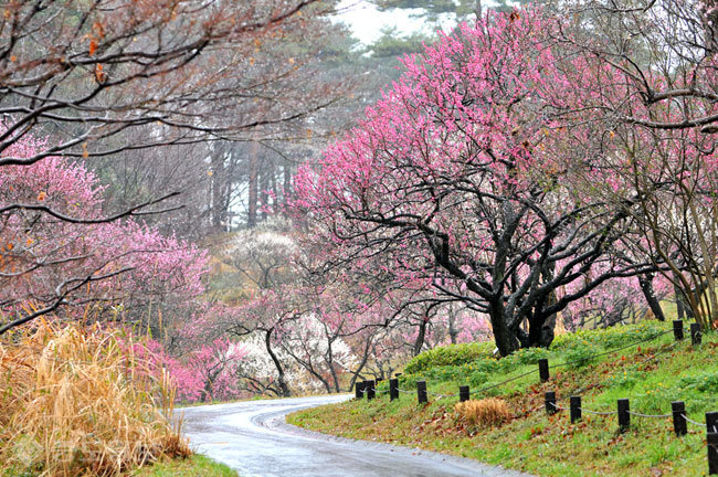▲ 사진=게티이미지뱅크