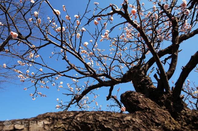 ▲ 사진=게티이미지뱅크
