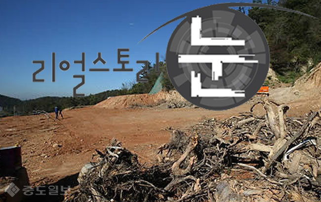 ▲ 사진은 기사 내용과 관련이 없음/사진=연합db