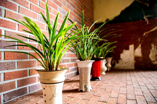 ▲ 사진=게티이미지뱅크