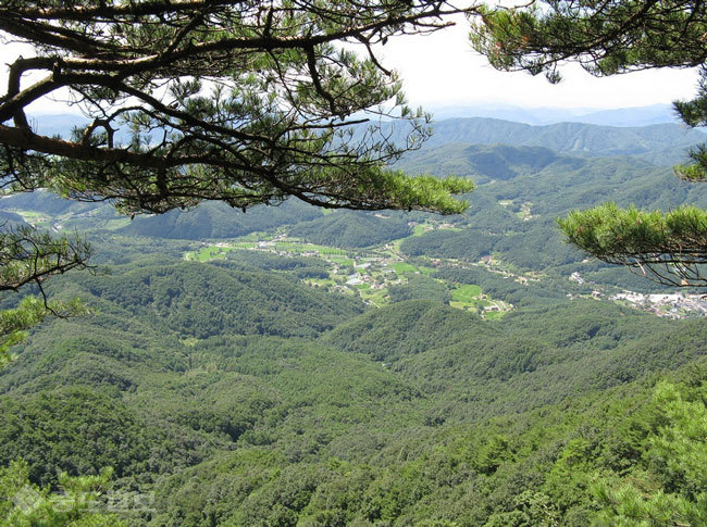 ▲출처=다음 블로그 '연무 블로그'