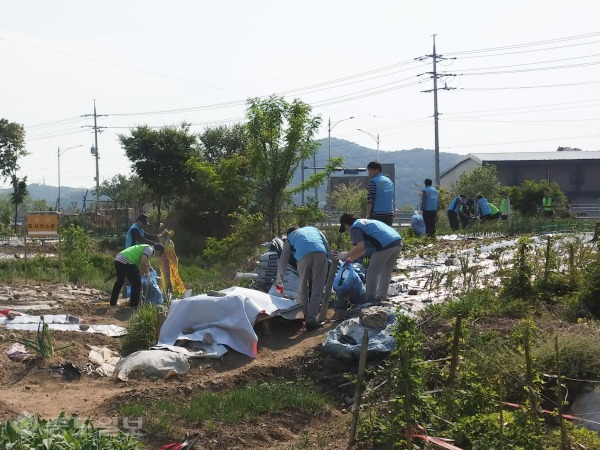 ▲ 용인시 환경과 직원과 한국농어촌공사 평택지사와 함께 환경정화활동 전개
