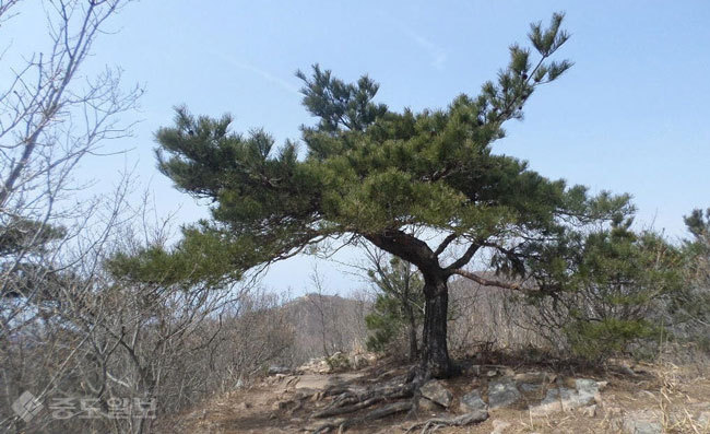 ▲출처=다음 블로그 '청노루'