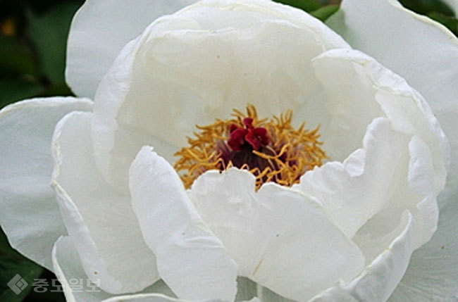 ▲ 사진=게티이미지뱅크