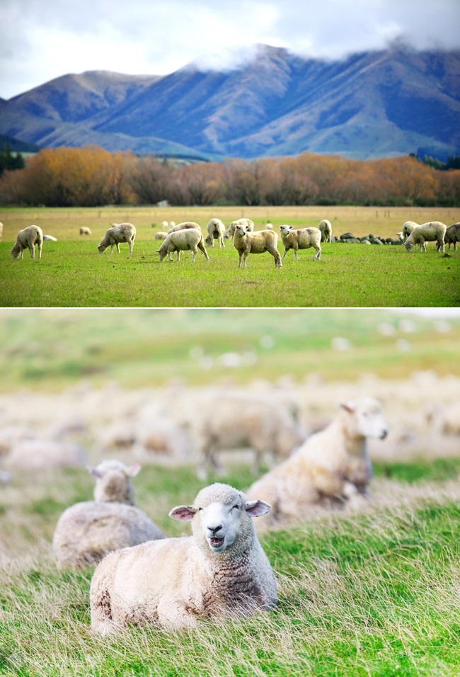 ▲출처=게티이미지