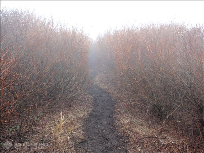▲출처=티스토리 블로그 '추억 만들기'