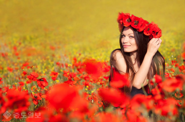 ▲ 사진=게티이미지뱅크