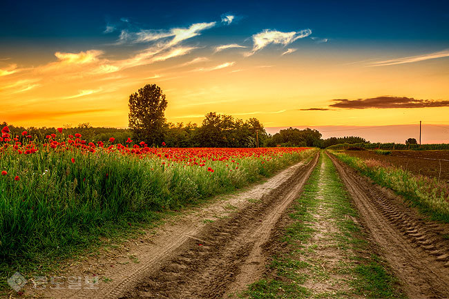 ▲ 사진=게티이미지뱅크