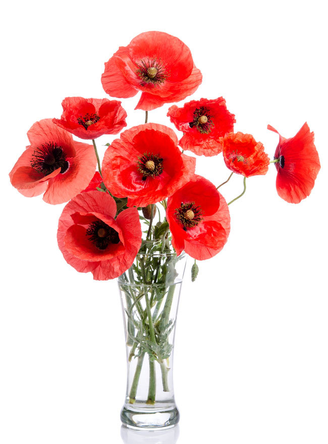 ▲ 사진=게티이미지뱅크