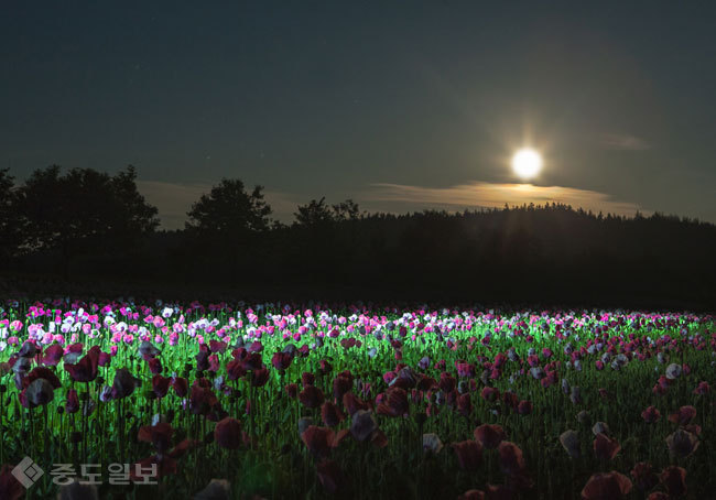 ▲ 사진=게티이미지뱅크