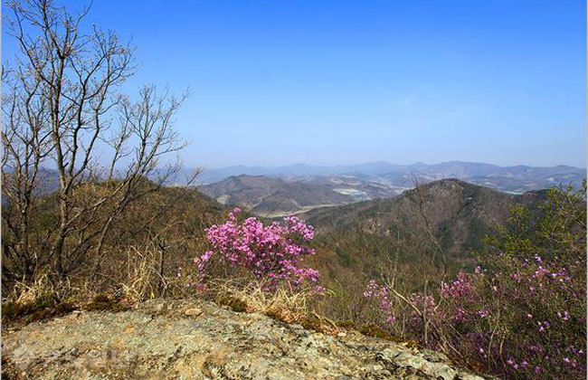 ▲출처=이글루 '백산의 오두막'