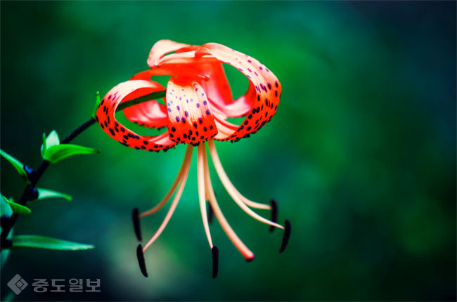 ▲ 사진=게티이미지뱅크 ▲ 사진=게티이미지뱅크