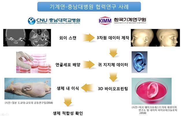 ▲ 기계연 나노자연모사연구실(이준희 책임연구원)과 충남대학교 이비인후과 박용호 교수 연구팀은 3D 바이오프린팅을 이용한 귀 재건에 협력한다. 충남대병원은 환자의 귀 골격 자료를 바탕으로 귀의 귓바퀴 연골세포를 배양한다. 기계연은 3D 바이오프린팅 기술로 원래의 귀와 거의 차이가 없는 귀를 만들어낸다. 충남대병원은 이렇게 만들어진 귓바퀴를 동물에 이식해 생체 적합성을 확인할 계획이다.