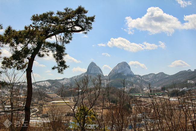 ▲출처=티스토리 블로그 '상식이 통하는 남자'