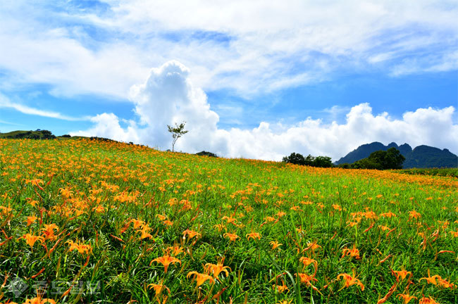 ▲ 사진=게티이미지뱅크
