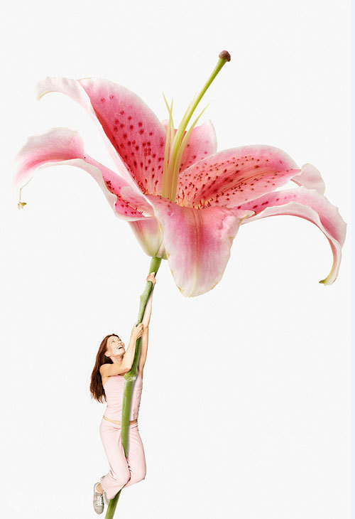 ▲ 사진=게티이미지뱅크