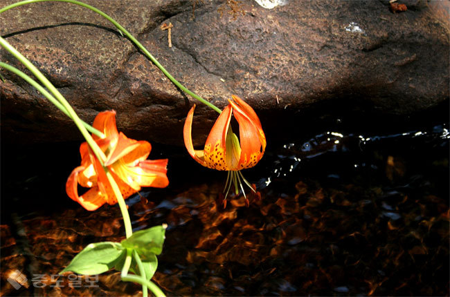 ▲ 사진=게티이미지뱅크