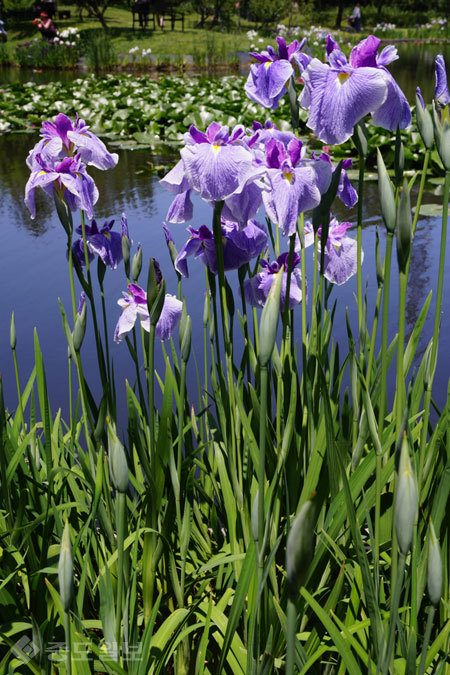 ▲ 사진=게티이미지뱅크