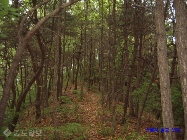 ▲출처=다음 블로그 '산에서 살고 싶다.'