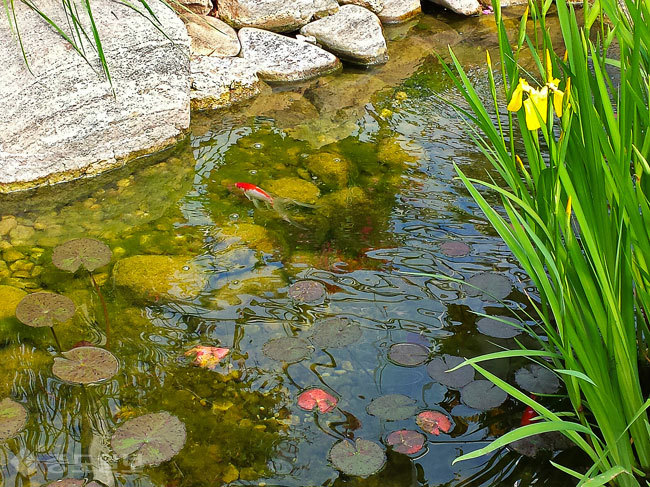 ▲ 사진=게티이미지뱅크