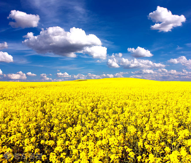 ▲ 사진=게티이미지뱅크