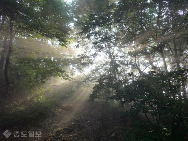 ▲출처=다음 블로그 '세발자전거&산'