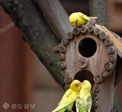 ▲ 게티 이미지 뱅크