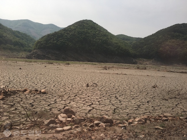 ▲ 보령댐 상류 저수구역 가뭄사진