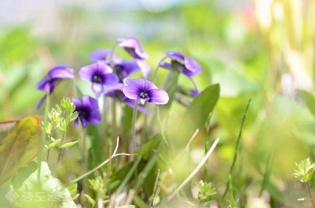 ▲ 사진=게티이미지뱅크