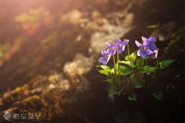 ▲ 사진=게티이미지뱅크