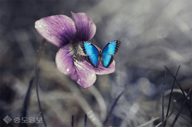 ▲ 사진=게티이미지뱅크