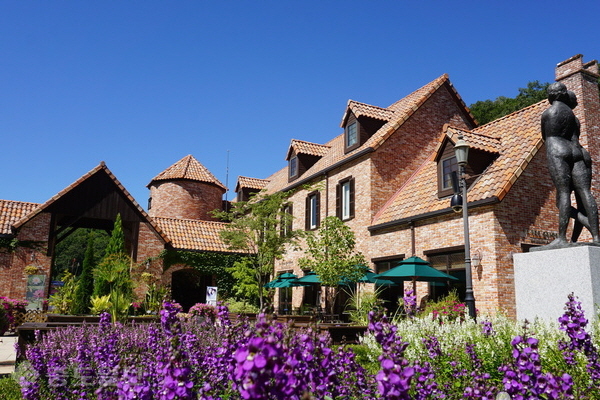 ▲출처=한국관광공사/춘천 제이든 가든에 핀 영롱한 보라빛 라벤더가 관광객의 눈길을 사로잡는다.